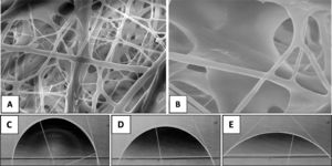 SEM of the scaffold and contact angle. Figures A and B. Morphological analysis by SEM. Figures C, D, and E. Measurement of the contact angle at seconds 1, 60 and 300 respectively.