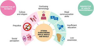 The stigma surrounding NAFLD, MAFLD and MASLD. This figure illustrates the complex stigma associated with Non-Alcoholic Fatty Liver Disease (NAFLD), Metabolic Dysfunction-Associated Fatty Liver Disease (MAFLD), and Metabolic Dysfunction-Associated Steatotic Liver Disease (MASLD) from the perspectives of both patients and healthcare professionals.