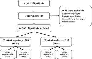 Study flow-chart. Functional dyspepsia (FD), H. pylori negative, H. pylori positive, Non-alcoholic fatty liver disease (MASLD).