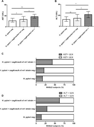 AST and ALT in patients with MASLD stratified according to H. pylori negative status, H. pylori positive cagA/vacA s1/m1-negative carrier and H. pylori cagA/vacA s1/m1-positive carrier. A) AST serum levels. B) ALT serum levels. C) AST > or < ULN. D) ALT > or < ULN. Data are expressed as median and interquartile range (IQR), and ( %) percentage of MASLD subjects. For continuous variables pairwise comparisons between groups Dwass-Steel-Critchlow-Fligner pairwise non-parametric test was used. For categorical variables, Chi-square test was used. * p < 0.05, ** p < 0.001.