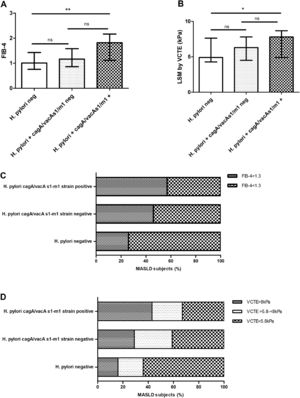 Non-invasive markers of high risk of significant/advanced fibrosis in patients with MASLD stratified according to H. pylori negative status, H. pylori positive cagA/vacA s1/m1-negative carrier and H. pylori cagA/vacA s1/m1-positive carrier. A) FIB-4 values. B) Liver stiffness measurement by vibration controlled transient elastography (LSM by VCTE). C) FIB-4 score ≥ 1.3 or < 1.3.. D) LSM by VCTE distribution by LSM cut-offs to rule-out significant fibrosis < 5.8 kPa, intermediate risk ≥5.8 kPa-<8 kPa, and to rule-out advanced fibrosis ≥8 kPa [31,32,33]. Data are expressed as median and interquartile range (IQR), and (%) percentage of MASLD subjects. For continuous variables pairwise comparisons between groups Dwass-Steel-Critchlow-Fligner pairwise non-parametric test was used. For categorical variables, Chi-square test was used. * p < 0.05, ** p < 0.001.