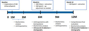 Chronological framework and assessment structure.