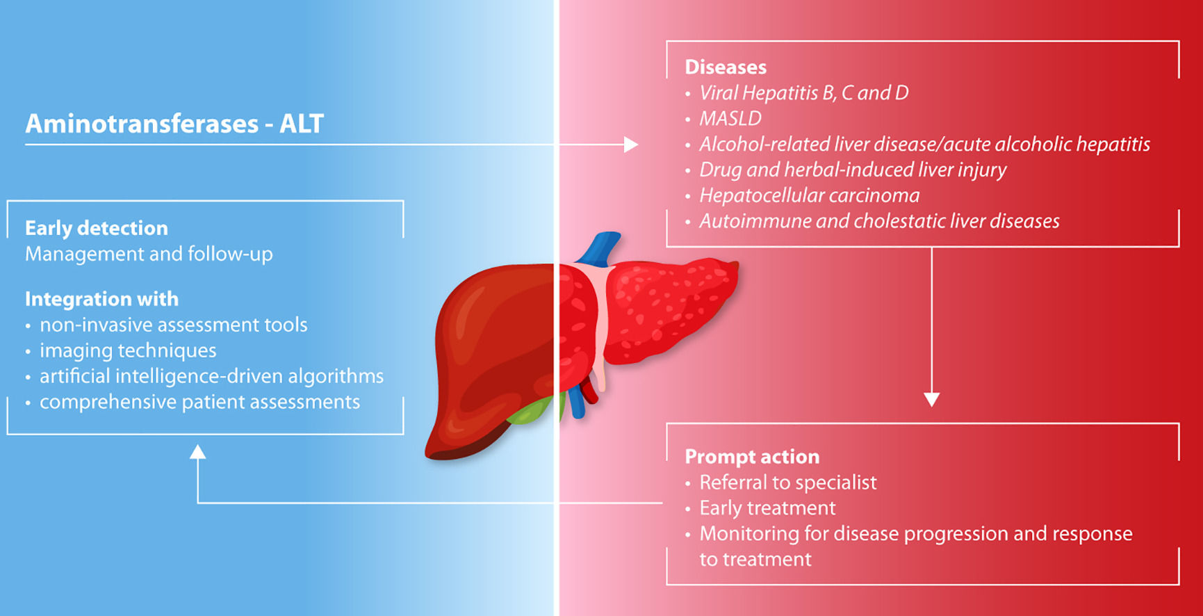 Does the hepatologist still need to rely on aminotransferases in clinical  practice? A reappraisal of the role of a classic biomarker in the diagnosis  and clinical management of chronic liver diseases |