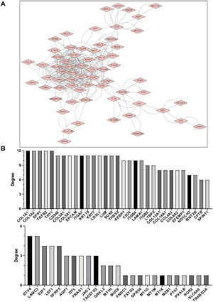 PPI network analysis of DEGs with HBV-related fibrosis. A: Using the STRING online database, a total of 127 DEGs (116 up-regulated genes and 11 down-regulated genes) were screened into a DEG PPI network complex by cytoscape. Each node represents a gene, and the edges stand for the interactions between nodes (the disconnected nodes are not shown) B. Key genes were screened using CytoHubba in Cytoscape software. To ensure the reliability of the screened genes, 12 kinds of scoring (MCC, DMNC, MNC, Degree, EPC, BottleNeck, EcCentricity, Closeness, Radiality, Betweenness, Stress and ClusteringCoefficient) were used and the first 30 genes obtained from each scoring standard were selected, and then their intersection was taken to calculate the occurrence times of each gene. If a gene can appear in the list of more than 6 key genes, it is considered a key gene with high confidence.