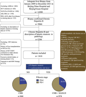 Prevalence and risk factors of significant fibrosis in chronic ...