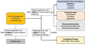 Subsequent treatment after progression on immunotherapy.