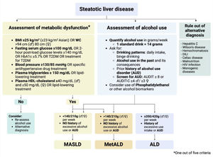 Diagnostic approach in steatotic liver disease based on the 2023 criteria.