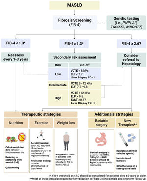 Stratification of risk in patients with metabolic dysfunction-associated steatotic liver disease and the potential treatments according to the stage of the disease.