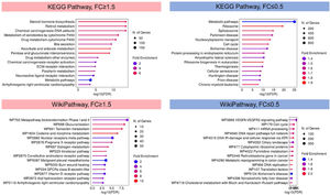 KEGG and WikiPathways Enrichment Analysis of Differentially Expressed Genes. The bar plots depict the significantly enriched pathways identified through KEGG and WikiPathways analysis for upregulated genes (fold change ≥1.5) and downregulated genes (fold change ≤0.5) in lenvatinib resistance. The KEGG and WikiPathways enrichment analysis of upregulated (in pink) and downregulated genes (in blue) shows the top pathways, with the x-axis representing the -log10 of the p-value, indicating the significance of enrichment, and the y-axis listing the enriched pathways.