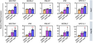 Effect of lenvatinib in the expression of candidate genes in HCC cell lines. Huh7 and Hep3B cells were treated with low (1 µM) and high (5 µM) dose of lenvatinib for 48 hours. RNA expression levels of target genes were normalized to 18S and β-actin. Statistical analysis: one-way ANOVA with post-hoc test, *p < 0.033, **p < 0.02, ***p < 0.01 against DMSO-treated cells. Data is presented from three biological replicates.