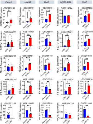 Expressions of five candidate genes in public datasets. TPM (transcript per million) normalized expression of SEZ6L2, SECTM1, IFI6, NPC1L1, and FBLN7 in public datasets. LENV, lenvatinib; LENV-R, lenvatinib-resistant; Student t-test, *p < 0.033, **p < 0.02, ***p < 0.01. Data was retrieved from GSE223201, GSE186191, GSE214324, and GSE211850 from the Gene Expression Omnibus.