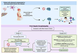Decision-making in minimal and overt hepatic encephalopathy Algorithm.