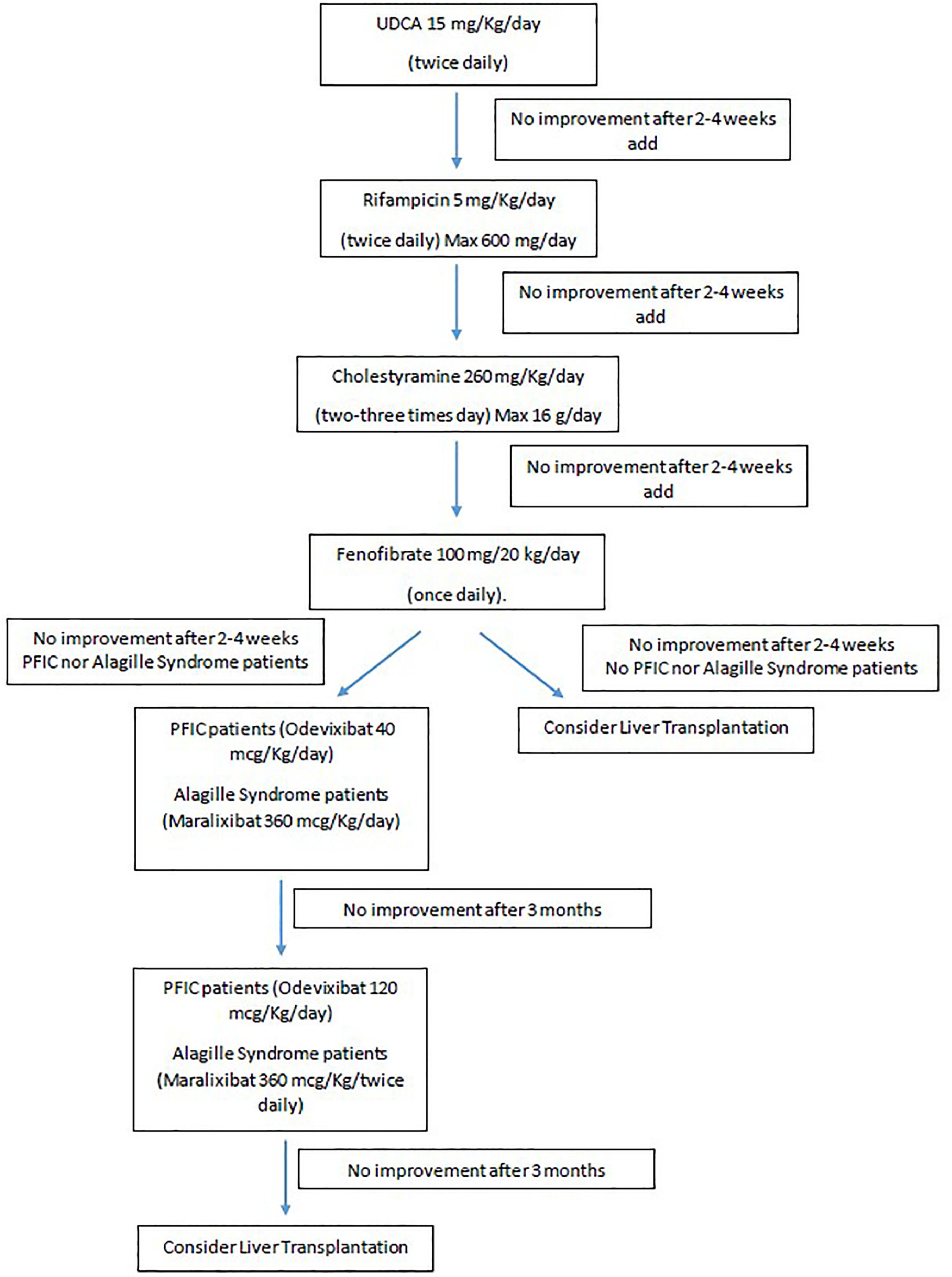 fig0001