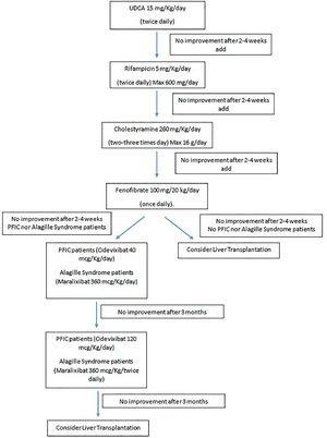 Treatment algorithm for cholestatic pruritus in children. Treatment algorithm for cholestatic pruritus in pediatric patients at Vall d