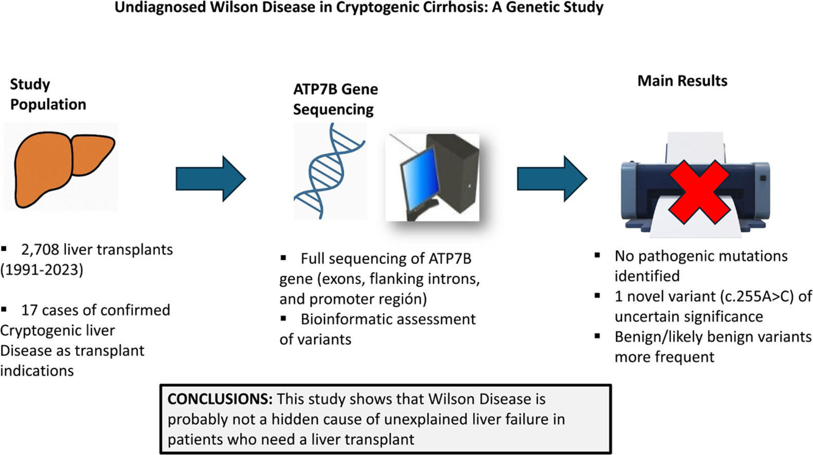 Undiagnosed wilson disease in cryptogenic cirrhosis: a genetic study ...