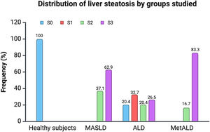 Distribution of liver steatosis by groups studied.