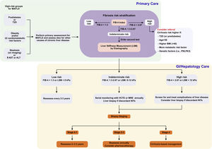 The recommended algorithm for the diagnosis and management of MAFLD.