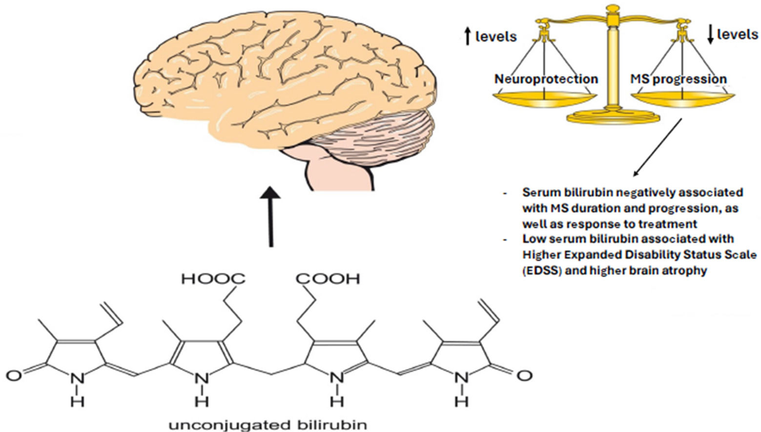fig0005