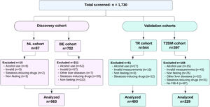Flowchart of the inclusion process. NL: The Netherlands, BE: Belgium, TR: Türkiye, T2DM: type 2 diabetes mellitus.