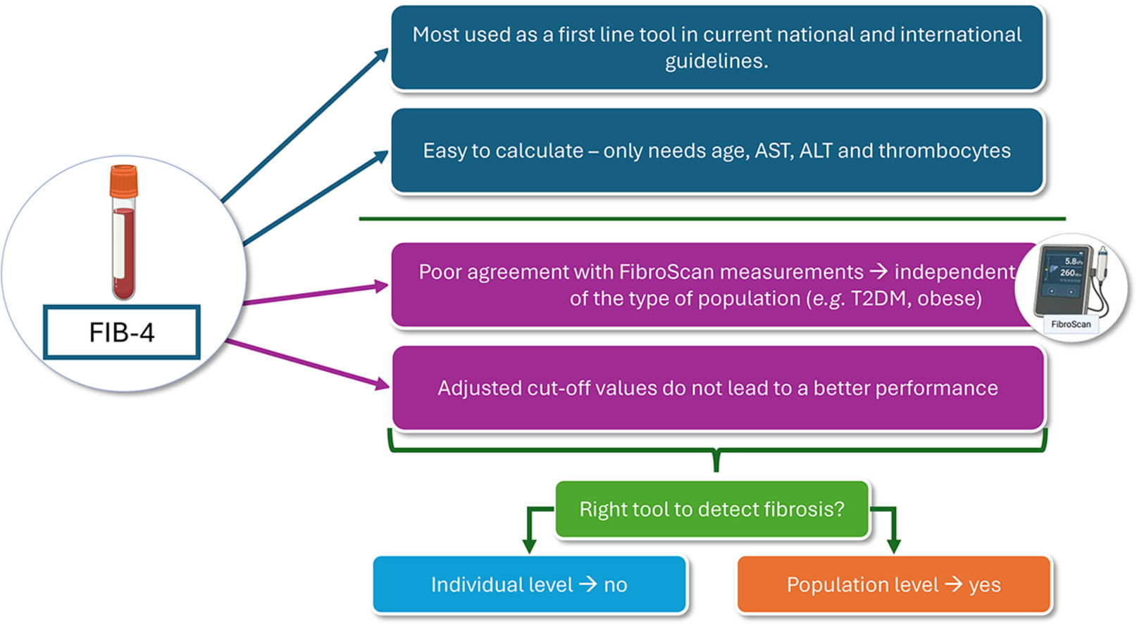 Is FIB-4 the right tool for screening for liver fibrosis? | Annals of ...