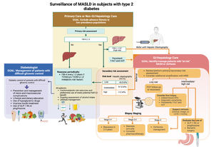 Liver check-up of MASLD in subjects with type 2 diabetes (created with BioRender.com) GLP-1 RA, GLP-1 receptor agonist; FIB-4, Fibrosis-4; T2DM, type 2 diabetes mellitus; AST, aspartate aminotransferase, ALT, alanine aminotransferase; PCP, primary care physician; VCTE, vibration-controlled transient elastography.