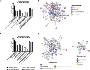 Functional Enrichment and protein-protein interaction networks analysis of DEGs induced by HCV Core expression in Huh7 co-cultured with LX2 cells. The fibrosis-related genes evaluated by the RT2 Profiler human fibrosis PCR Array were analyzed with Enrichr and STRING bioinformatic platforms. (A) Signaling pathway enrichment and Gene Ontology analysis of the DEGs genes at 48 h. (B) Interaction networks of proteins from DEGs at 48 h of co-culture associated with different cellular functions from STRING analysis. (C) Signaling pathway enrichment and Gene Ontology analysis of the DEGs genes at 72 h. (D) Interaction networks of proteins from DEGs at 72 h of co-culture associated with different cellular functions from STRING analysis.