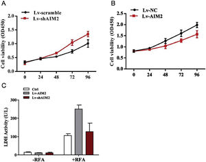 Effects of AIM2 knockdown or overexpression on SMMC-7721 cell proliferation and lactate dehydrogenase (LDH) release. Proliferation assays showed the effects of (A) knockdown or (B) overexpression of AIM2 on SMMC-7721 cell viability. Knocking down AIM2 expression with an AIM2-specific short hairpin RNA (shRNA) (shAIM2) enhanced the proliferation of SMMC-7721 cells compared with the scrambled shRNA control. By contrast, overexpression of AIM2 with an expression vector (OS-AIM2) attenuated the proliferation of SMMC-7721 cells compared with the negative control (NC). (C) An LDH release assay revealed the effects of AIM2 knockdown or overexpression on LDH release in SMMC-7721 cells with or without exposure to RFA. Data are presented as the mean ± SD. P < 0.05 indicated a significant difference between groups.