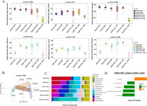 Combined treatment with EtOH+TAA induces gut microbiome change in mice model during disease progression. A: Alpha diversity calculated using Shannon, Simpson, and chao1 index between EtOH+TAA vs HC and EtOH+TAA vs EtOH groups showed a significant decrease at 12wk. B: PCoA using the Bray–Curtis dissimilarity metric between EtOH+TAA and EtOH at 4, 8, and 12wk showed significant variation in community composition (p = 0.004). C: Relative abundance of prevalent microbiota at the EtOH and EtOH+TAA group genus level. D: Bar chart showing significant differential gut bacteria between EtOH+TAA vs EtOH at 12wk at the genus level (p < 0.05, FC>1.5).