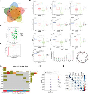 Identification and selection of genes associated with liver disease progression. (A) The Venn diagram depicts the intersecting genes among HCV, cirrhosis, HCC, and prognosis-related genes. (B) PCA of the samples from the HCV, cirrhosis, HCC. (C) The multiclass logistic regression model for driver genes. (D) The expression levels of driver genes in three diseases. (E) CNV frequency of driver genes. (F) The genomic loci of driver genes. (G) The waterfall plot illustrates the mutation landscape of driver genes in HCC. (H) The correlation analysis between mRNA expression levels of driver genes and DNA methylation. (I) The heatmap illustrates the correlation among driver genes.