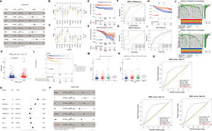 Validation of the high and low-risk models based on driver genes. (A) The forest plot presents the prognostic outcomes of driver genes in the TCGA dataset. (B-C) Expression levels of each driver gene in the high and low-risk models of HCC (B) and cirrhosis (C). (D-E) Kaplan-Meier curves in the high and low-risk models of HCC (D) and cirrhosis (E). (F-G) ROC curves of HCC and cirrhosis. (H-I) Kaplan-Meier curves and ROC curves of GSE14520. (J) The waterfall plot illustrates the somatic mutation landscape of the top 20 mutated genes among all the mutated genes in the high-risk group (left) and low-risk group (right). (K) The relationship between wild-type and mutant TP53 and risk scores. (L) Kaplan-Meier curves illustrate the relationship between TP53 mutations, risk scores, and postoperative outcomes. (M-N) The relationship between risk scores and clinical characteristics. (O-P) The forest plot of prognostic outcomes for the training (O) and testing sets (P). (Q) The ROC curves of prognostic outcomes for clinical features and risk scores.