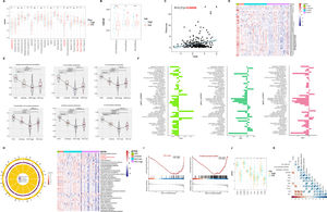 Analysis of immune infiltration and pathway correlation in HCC. (A) The correlation between high and low-risk groups in HCC and immune cells. (B) The ESTIMATE Score, immune Score, and stromal Score between high and low-risk groups. (C) The relationship between risk scores and TIDE. (D) Gene expression of human leukocyte antigen (HLA) stimulators among HCV, cirrhosis, and HCC. (E) The relationship between immune pathways and the progression of liver diseases. (F) The relative pathway among HCV, cirrhosis, and HCC. (G) GO enrichment analysis reveals the relationship between liver diseases and pathways. (H) Enrichment plots for TCA cycles and oxidative phosphorylation that were related to HCC. (I) The relationship between metabolism-related genes and high/low risk. (J) The correlation heatmap between immune-related pathways and driver genes.