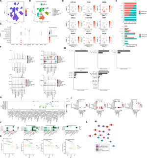 Single-cell sequencing analysis revealed the signaling pathways and molecular features associated with driver genes. (A) The t-SNE plot displayed the composition of different cell subtypes in HCC. (B) The dynamics of risk score in 9 main cell types are represented in the t-SNE plot. (C) The expression levels of driver genes in different cell types vary. (D) The distribution of driver gene expression varies across different cell types. (E) Different intensity ratios of signal pathway in high- and low-risk groups in HCC. (F) Expression levels of pathway-associated genes in different cell types. (G) Contribution ratios of intercellular communication pairs in HCC samples. (H) Global view of intercellular communication among different cell types. (I) Heatmap of different cellular pathways. (J) Roles played by different cells in different pathways. (K) Enrichment of pathway genes in HCV, cirrhosis, HCC. (L) PPI network graph of risk model genes and pathway genes.