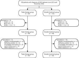 Patient selection flow chart. Abbreviations: HCC, hepatocellular carcinoma; BCLC, Barcelona Clinic Liver Cancer; ECOG, Eastern Cooperative Oncology Group score.