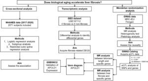 Flowchart illustrating the present study design.