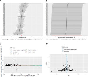 Exploring the potential association between telomere length and liver fibrosis. (A) Forest plot showing the combined results of all SNPs using the IVW and MR Egger methods. Red dots represent effect estimates, and horizontal lines indicate 95 % confidence intervals. (B) Leave-one-out analysis was conducted using the IVW method. Black points represent causal effect estimates obtained by excluding single variants, while the red point denotes the inverse-variance weighted estimate using all SNPs. (C) Scatter plot illustrating the estimated effects of each Mendelian randomization method. Line slopes indicate the magnitude of the effect. (D) Funnel plot displaying estimates with all SNPs. Vertical lines represent effect estimates, demonstrating the absence of horizontal pleiotropy. IVW: inverse-variance weighted. SNP: single-nucleotide polymorphism.