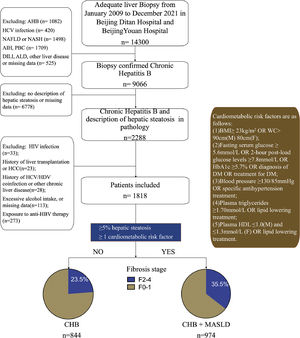 Study design, * MASLD criteria was based on Rinella ME, et al. J Hepatol. 2023 Jun 20:S0168-8278(23)00418-X., AHB, acute hepatitis B; ALD, alcoholic liver disease; NAFLD, nonalcoholic fatty liver disease; NASH, nonalcoholic steatohepatitis; AIH, autoimmune hepatitis; PBC, Primary Biliary Cholangitis; DILI, drug induced liver injury; BMI, body mass index; WC, waist circumference; DM, diabetes mellitus; HDL-C, high-density lipoprotein cholesterol; HbA1C, Glycosylated hemoglobin type A1C; CHB, chronic hepatitis B; HBV, hepatitis B virus; HCC, hepatocellular carcinoma; HCV, hepatitis C virus; HDV, hepatitis D virus; HIV, human immunodeficiency virus; MASLD, metabolic dysfunction-associated steatotic liver disease.