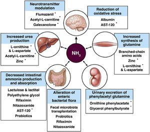 Established and emerging treatments for hepatic encephalopathy (HE). *These therapies were not being actively investigated for HE as of March 23, 2022 per clinicaltrails.gov [47].