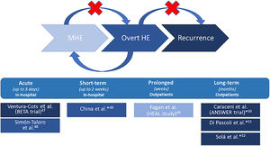 Studies of albumin therapy on hepatic encephalopathy (HE) in cirrhosis patients have covered different phases of the disease. They include blocking progression from minimal HE (MHE) to overt HE, blocking recurrence or progression in patients with a history of HE or active HE and resolving overt episodes of HE. Studies have varied in the length of administration from a few days to months. *Studies which did not have HE as a primary inclusion criterion.