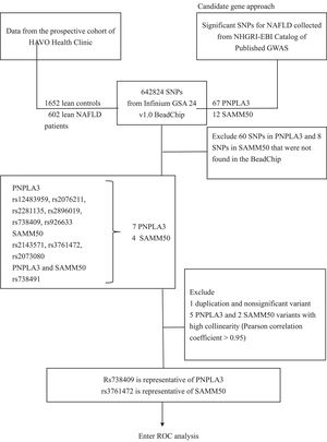 Flow chart of SNP selection for lean NAFLD. Data was gathered from the HAVO Health Clinic cohort, which included 1652 lean controls and 602 lean NAFLD patients. Initially, 642,824 SNPs were identified using the Infinium GSA 24 v1.0 BeadChip. Significant SNPs were collected from the NHGRI-EBI Catalog of Published GWAS, resulting in the examination of 67 PNPLA3 and 12 SAMM50 SNPs. SNPs with duplications, non-significance, or high collinearity (Pearson correlation coefficient ≥ 0.95) were excluded. This process resulted in the final representative SNPs: rs738409 for PNPLA3 and rs3761472 for SAMM50. These representative SNPs were then used in the ROC analysis to evaluate their predictive value for lean NAFLD.