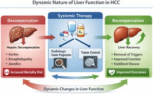 Dynamic scheme of the natural history of cirrhosis and HCC.