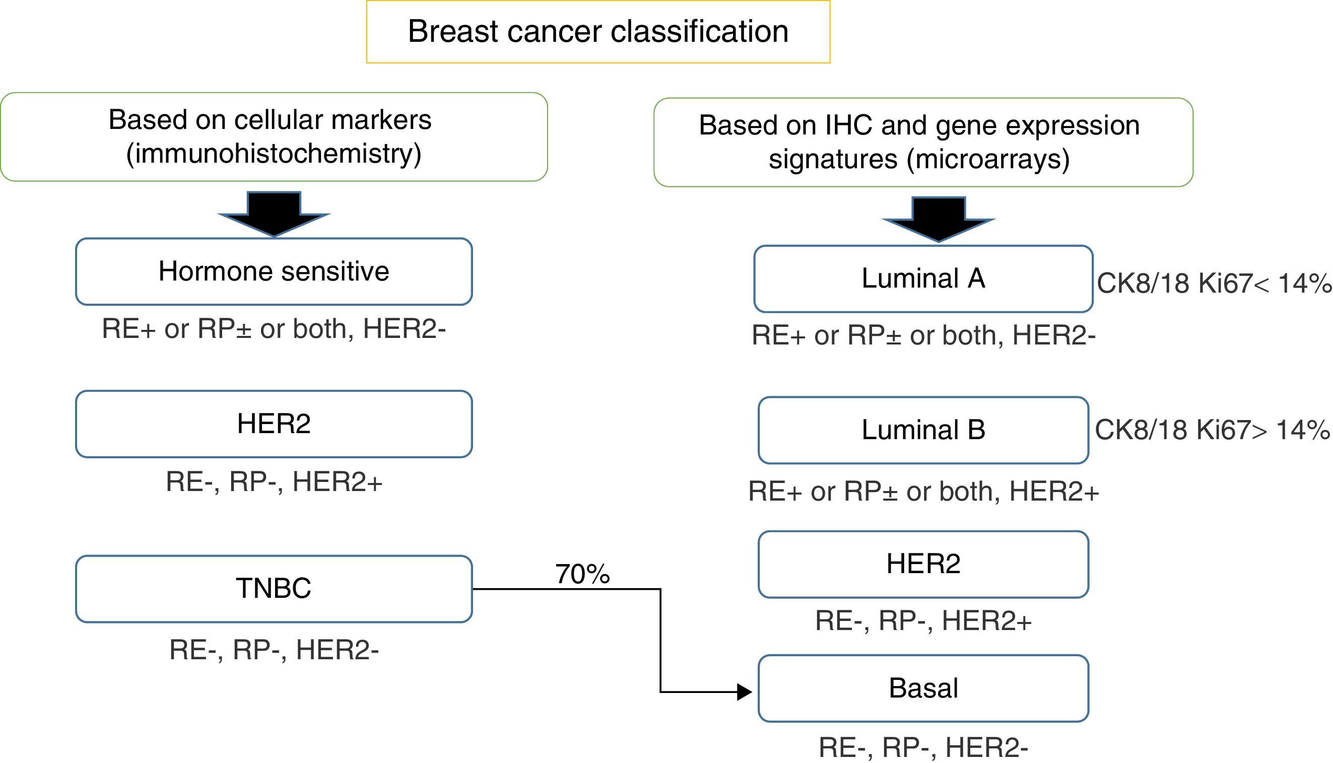 Triple negative breast cancer: Deciphering the biology and ...