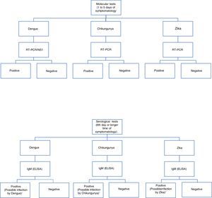 Algorithm for the detection of arboviruses in cases where there is a suspicion of infection by Dengue, Chikungunya or Zika. ELISA: Enzyme-Linked ImmunoSorbent Assay; IgM: Immunoglobulin M; RT-PCR: real-time polymerase chain reaction; NS1: Non-structural antigenic protein type 1. Adaptation of the algorithm proposed by the *Pan-American Health Organization.71