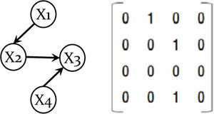 Matrix representation of a Bayesian network.