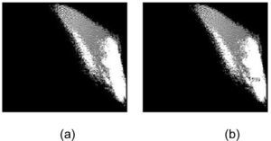 Example of original and watermarked 2D R-G color histograms from Lena image. (a) Original 2D color histogram. (b) Watermarked 2D color histogram.