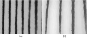Interference fringes created at the sample surface (a) shoes the fringes form when the tip is far away, while (b) shows the fringes when the tip is closer to the sample