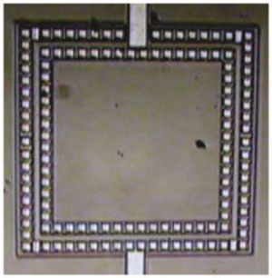 Photograph showing only the photodiode area