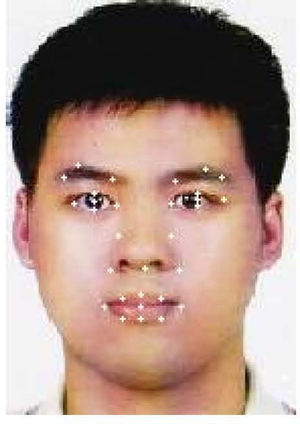 Positions of eyebrow, eye, nose, and mouth FPs.