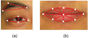 Triangulation diagrams of the eyebrow, eye, and mouth based on FPs: (a) eyebrow and eye triangulation, (b) mouth triangulation.