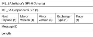 IKE header format.