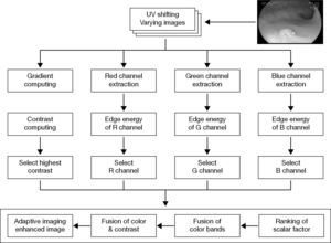 The flowchart demonstrated the adaptive imaging method. The input endoscopy color image is transformed to YUV color space firstly. We therefore adopted edge energy to count each expanding in image for their red, green and blue channels. The gradient image is used to compute and select highest contrast. The enhanced image is combined using the scalar and contrast values.